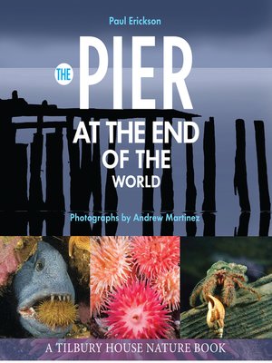 cover image of The Pier at the End of the World (Tilbury House Nature Book)